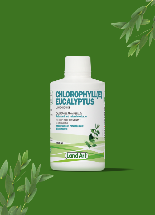 Chlorophylle - Liquide 500ml - Eucalyptus - Land Art